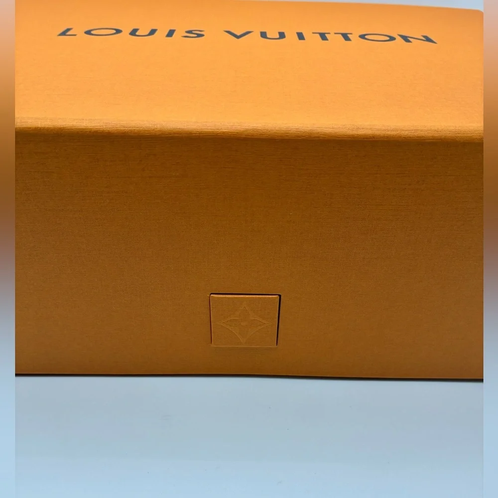 New Louis Vuitton large box